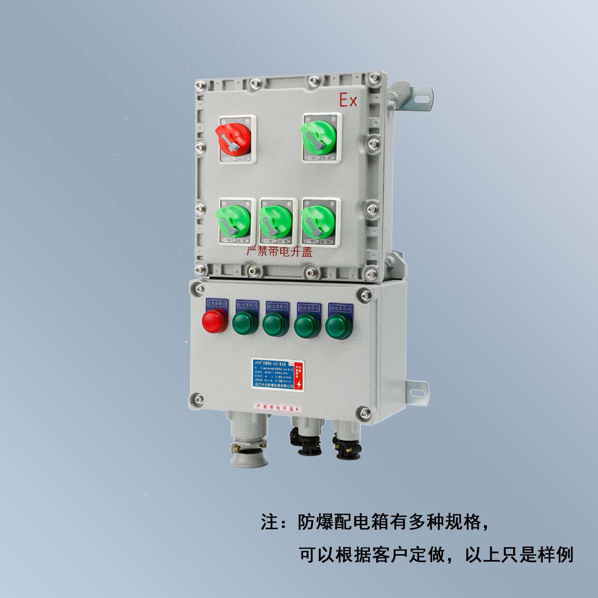 BXM(D)58 系列防爆照明(動力)配電箱 (ⅡB、ⅡC、DIP)